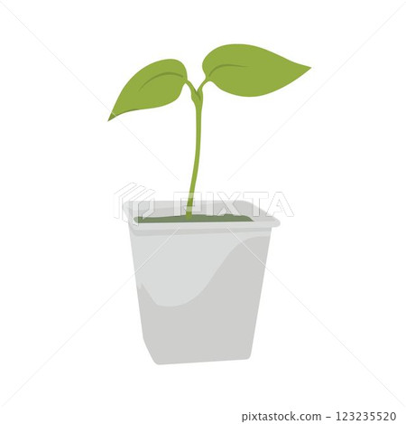 sprout in a seedling cup  123235520