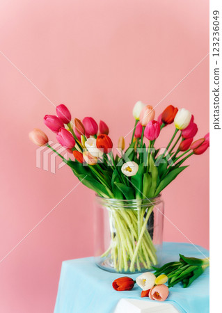 colored tulips on a pink background. bouquet of tulip buds in a glass vase on a colored background 123236049