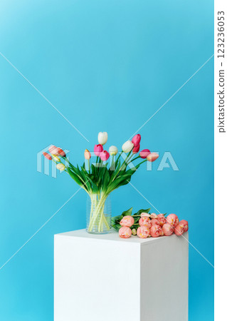 colored tulips with white stand on blue background. bouquet of tulip buds in glass vase on colored colored tulips with white stand on blue background. bouquet of tulip buds in glass vase on colored 123236053
