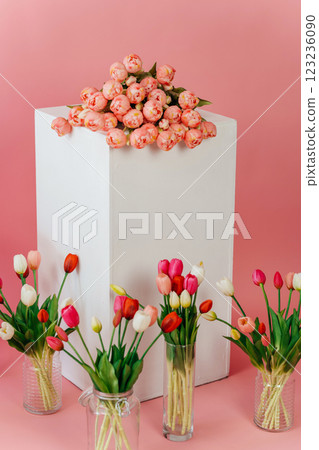 colored tulips with white stand on pink background. bouquet of tulip buds in glass vase on colored 123236090