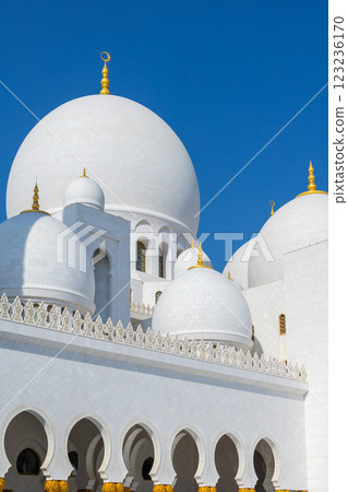 Close-up Sheikh Zayed Grand Mosque in Abu Dhabi made of white marble with flowers made of precious stones in design and beautiful reflections. Vertical photo Close-up Sheikh Zayed Grand Mosque in Abu Dhabi made of white marble with flowers made of precious stones in design and beautiful reflections. Vertical photo 123236170