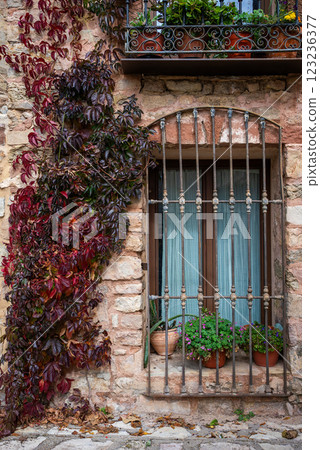 climbing lush foliage over old window at ancient building 123236377