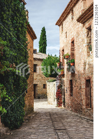 Explore cozy streets lined with ancient stone homes in Medinaceli, a charming Roman town in Spain during a peaceful afternoon Explore cozy streets lined with ancient stone homes in Medinaceli, a charming Roman town in Spain during a peaceful afternoon 123236384