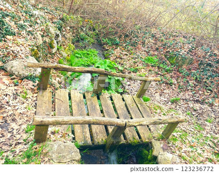 wooden bridge over a river in the forest 123236772