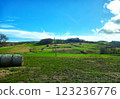 Field in a mountain village in early spring 123236776