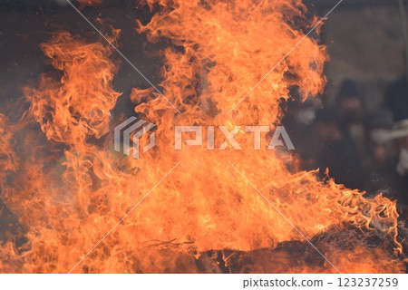flame flame 123237259