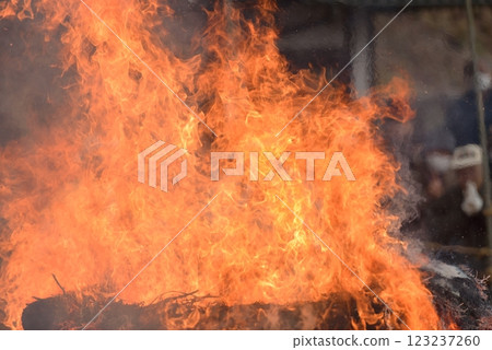 flame flame 123237260