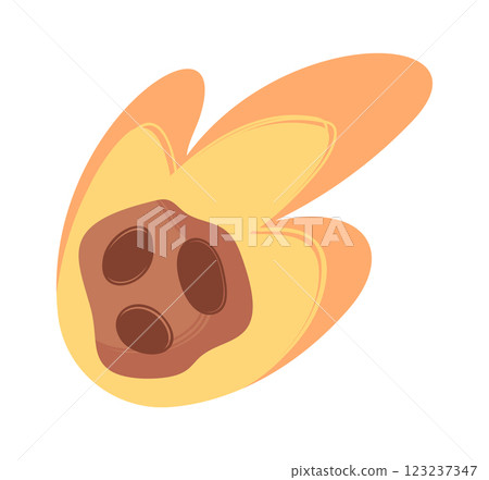 Large burning meteor falling down Large burning meteor falling down 123237347