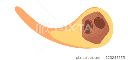 Meteor cosmic space body falling 123237355