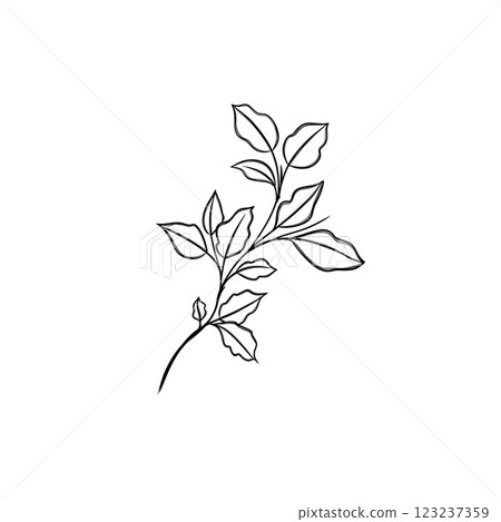 leaf pant line art. Minimalistic line drawing. leaf line art. Botanical drawing illustration by hand. leaf pant line art. Minimalistic line drawing. leaf line art. Botanical drawing illustration by hand. 123237359