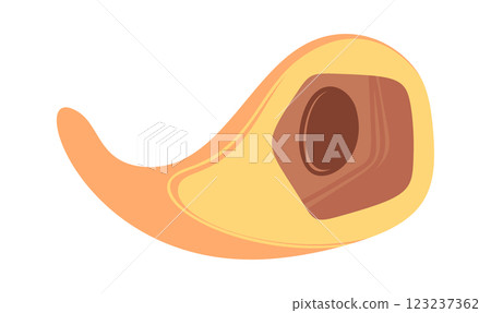 Large flying comet space body 123237362