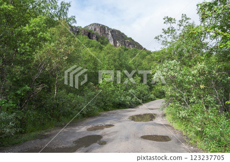 Country gravel road with puddles 123237705