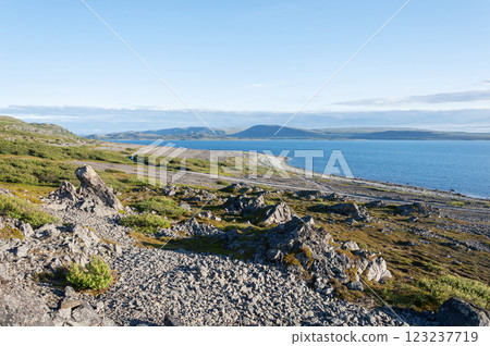 Rocks at the seacoast, summer tundra landscape 123237719
