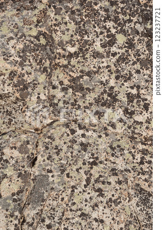 Texture of brown weathered stone 123237721
