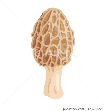 Morel mushroom. Edible forest mushroom flat style icon 123238225