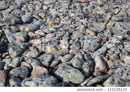 Texture of stones in tundra 123238229