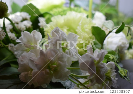 Delicate Elegance: A Close-Up Floral Arrangement Delicate Elegance: A Close-Up Floral Arrangement 123238507