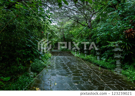 The approach to Tomisaki Kannon-do Temple | A lush sacred site on Ishigaki Island 123239021