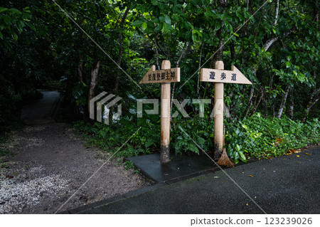 A hidden power spot on Ishigaki Island | Forest signpost to Omoto Onushijinja Shrine 123239026