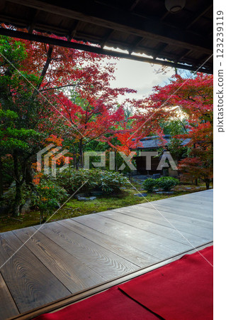 從大寶院的日式房間欣賞秋葉 從大寶院的日式房間欣賞秋葉 123239119