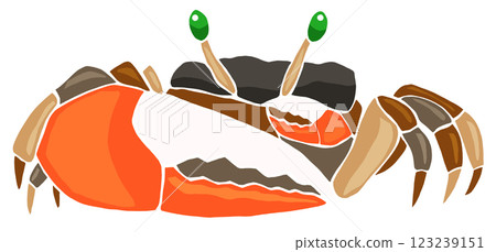 A lovely stained glass style cut-out illustration of a crustacean, a fiddler crab, without joints A lovely stained glass style cut-out illustration of a crustacean, a fiddler crab, without joints 123239151