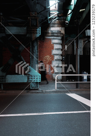 Street snapshot taken under an overpass in Tokyo 123239179