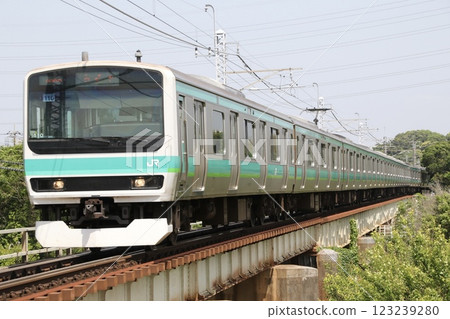 JR Narita Line E231 series 0 123239280