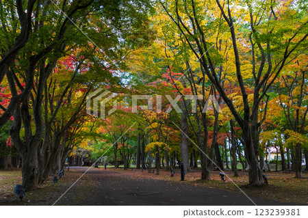 北海道的秋天,函館市,舊岩船家庭園(香雪園) 北海道的秋天,函館市,舊岩船家庭園(香雪園) 123239381
