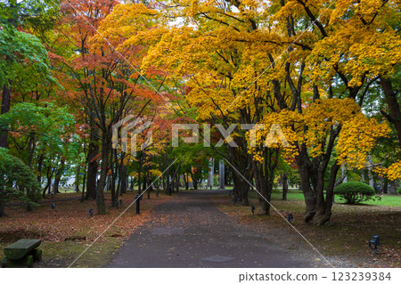 Autumn in Hokkaido, Hakodate City, Former Iwafune Family Garden (Kosetsuen) 123239384
