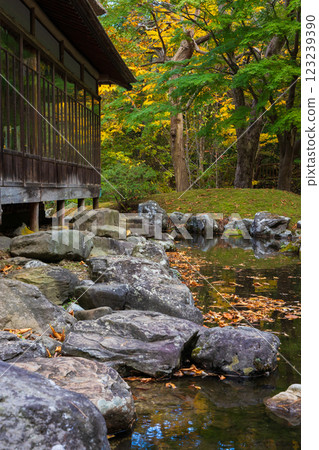 Autumn in Hokkaido, Hakodate City, Former Iwafune Family Garden (Kosetsuen), Garden 123239390