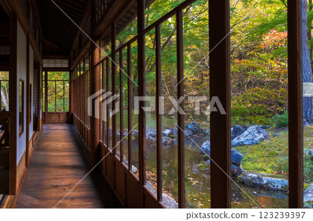 Autumn in Hokkaido, Hakodate City, Former Iwafune Family Garden (Kosetsuen), Garden 123239397