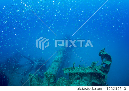 Cardinalfish swarming around a sunken ship, Ogasawara, Tokyo Cardinalfish swarming around a sunken ship, Ogasawara, Tokyo 123239540