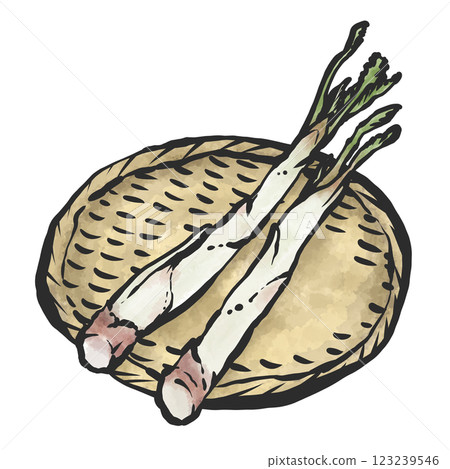 Hand-drawn brush-style illustration of Udo 123239546