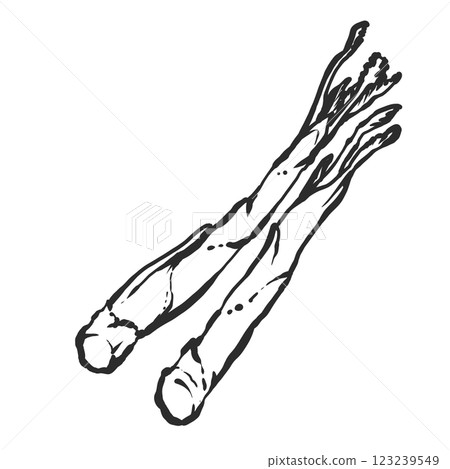 Udo 的手繪畫筆風格插圖 Udo 的手繪畫筆風格插圖 123239549