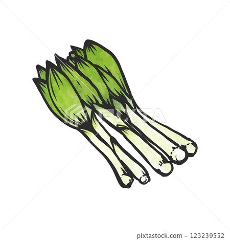 Urui's hand-drawn brush-style illustrations 123239552