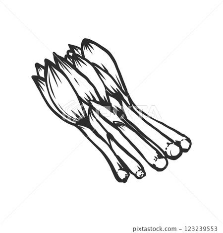Urui 的手繪畫筆風格插圖 Urui 的手繪畫筆風格插圖 123239553