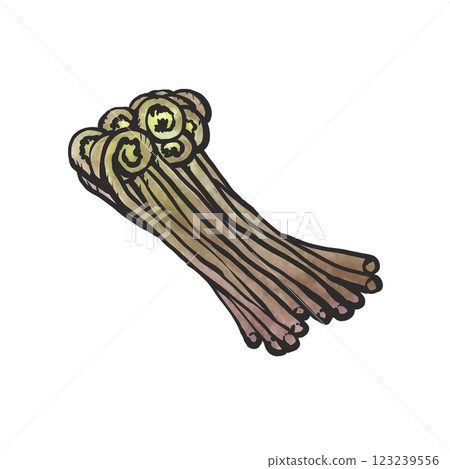 手繪的彈簧插圖 123239556