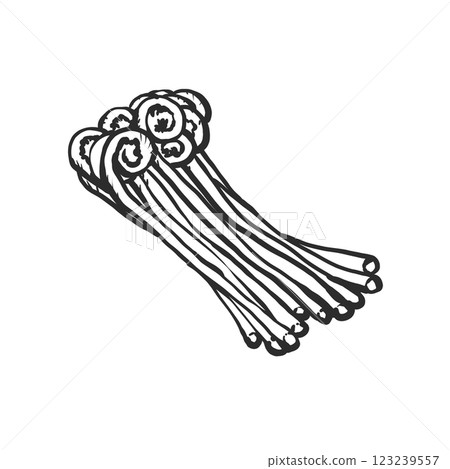 手繪的彈簧插圖 123239557