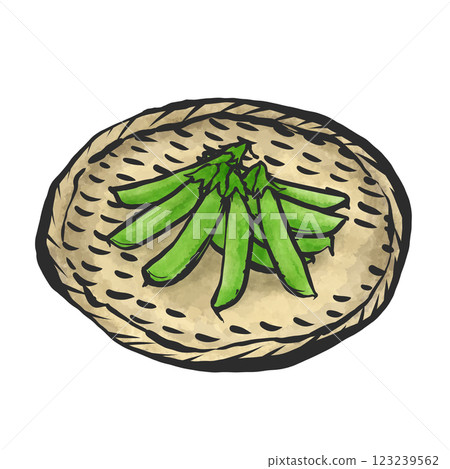 豌豆的手繪插圖 123239562
