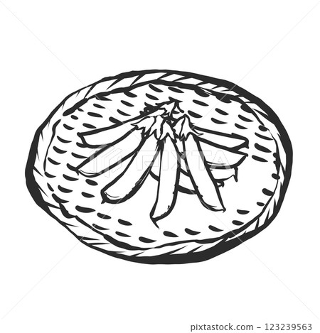 豌豆的手繪插圖 123239563