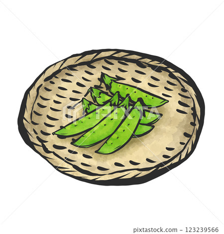 雪豆的手繪插圖 雪豆的手繪插圖 123239566