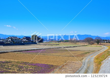 從六石水渠附近可以欣賞到深谷市秩父山脈的美麗風景 從六石水渠附近可以欣賞到深谷市秩父山脈的美麗風景 123239724