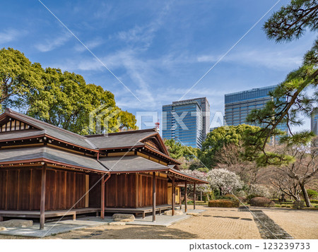 The East Gardens of the Imperial Palace in early spring: Looking towards Otemachi from Suwa no Chaya, where white plum blossoms bloom 123239733
