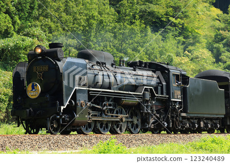 SL Yamaguchi D51 5439 123240489