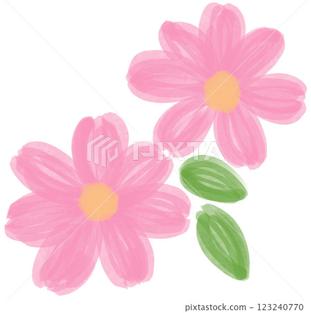 Illustration of a small Pink Daisy flower blooming 123240770
