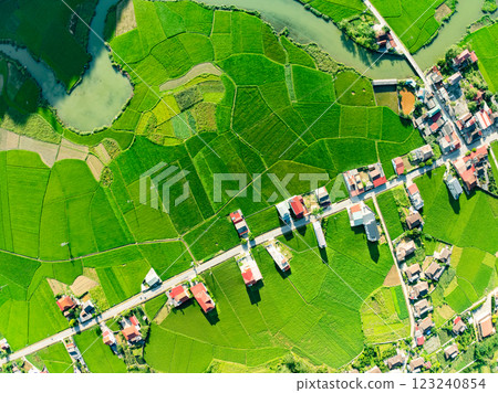 Aerial top view of Green rice field at northern vietnam,Beautiful destination in Northern Vietnam,Travel and landscape concept, Nature and rice fields background Aerial top view of Green rice field at northern vietnam,Beautiful destination in Northern Vietnam,Travel and landscape concept, Nature and rice fields background 123240854