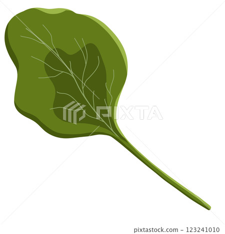 Salad stuff and foods 123241010