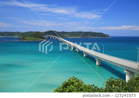 Tsunoshima Bridge 8821 123241073