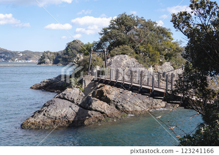 Shizuoka Prefecture, Wild Geese Island and Suspension Bridge [Fuji-Hakone-Izu National Park] Shimoda City 123241166