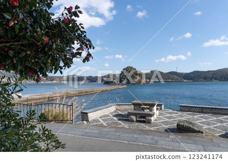 Shizuoka Prefecture: Camellia blooming on the Inubashiri Island embankment and rest area [Fuji-Hakone-Izu National Park] Shimoda City 123241174